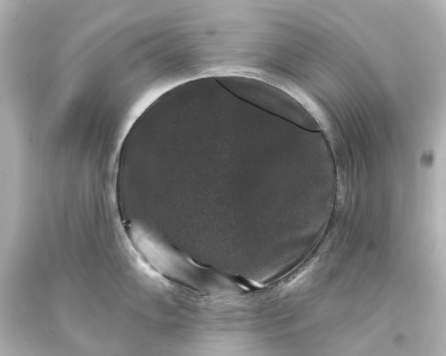 X0000093581102200710291056