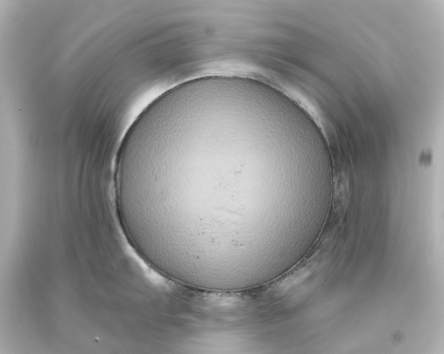 X0000093581103200710291056