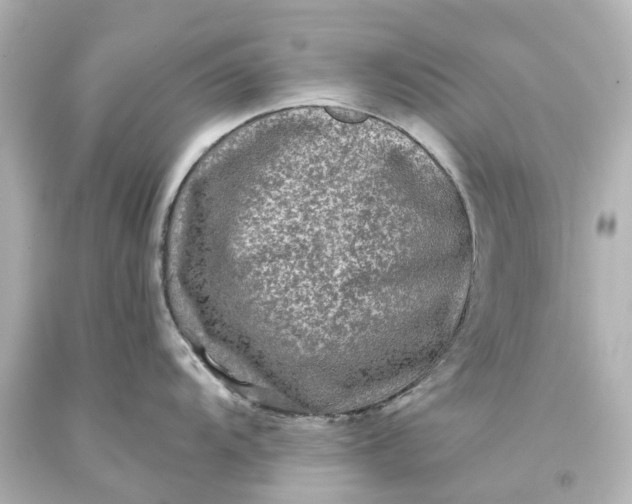 X0000093581104200710291056