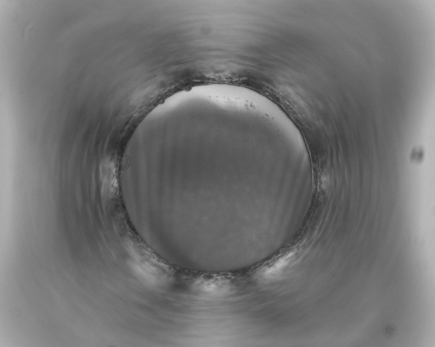 X0000093581106200710291055