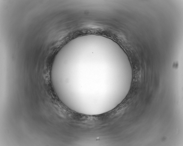 X0000093581109200710291055