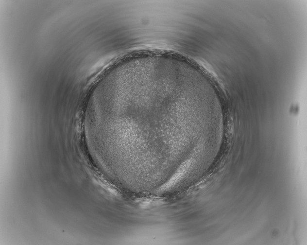 X0000093581110200710291055