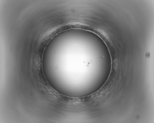 X0000093581111200710291055