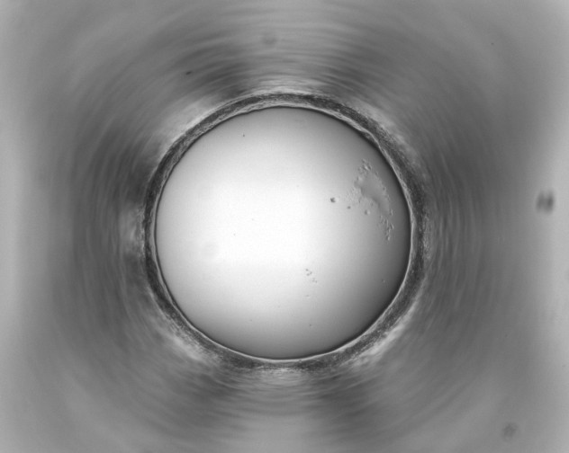 X0000093581113200710291055