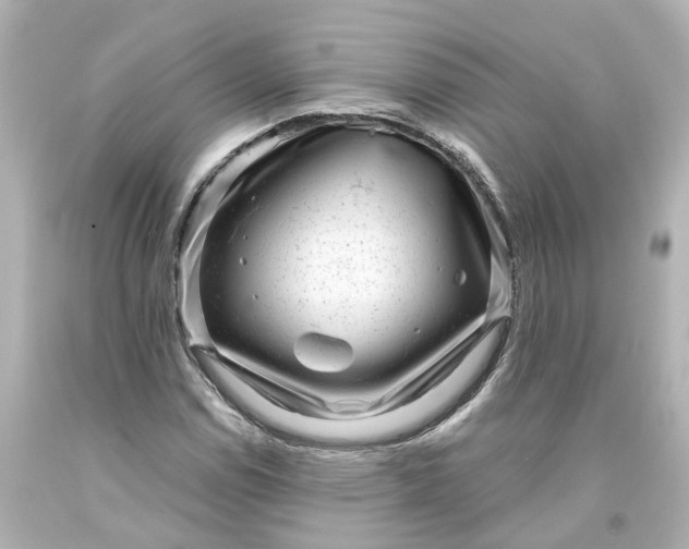 X0000093581114200710291055