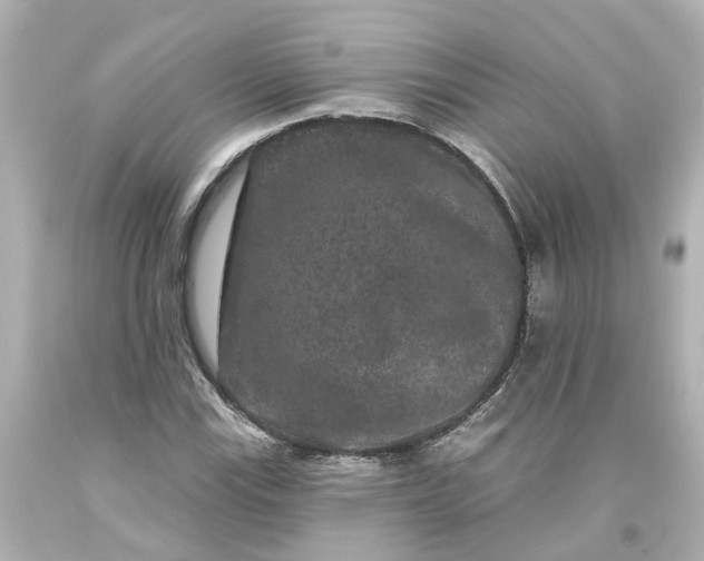 X0000093581115200710291055