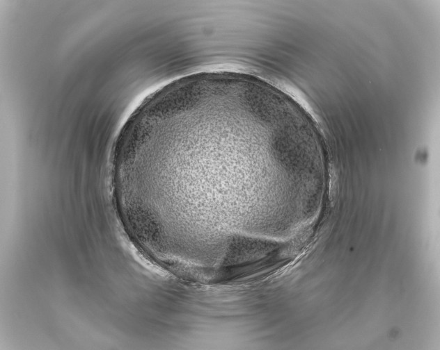 X0000093581116200710291055