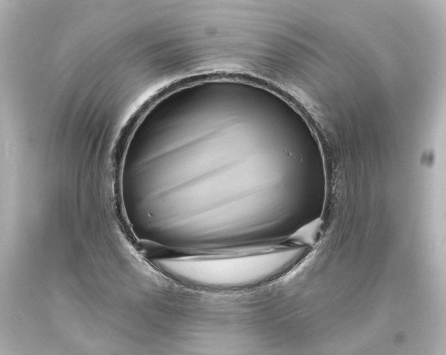 X0000093581118200710291055