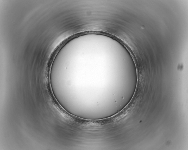 X0000093581119200710291055