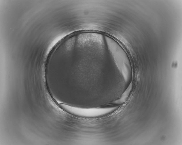 X0000093581120200710291055