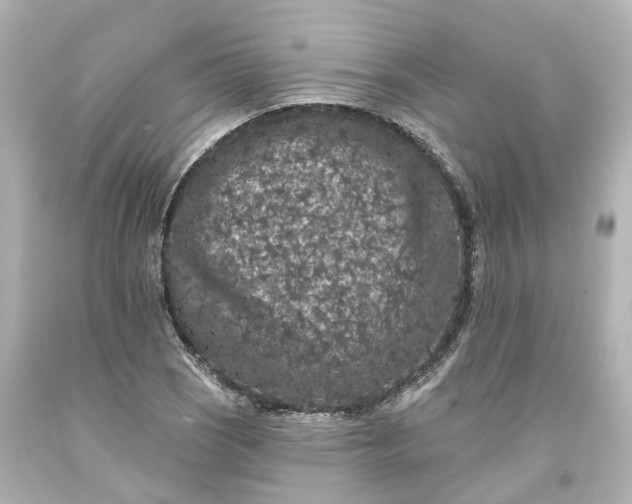 X0000093581121200710291055