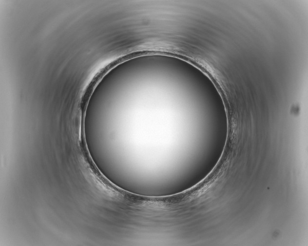 X0000093581123200710291056