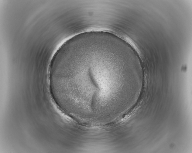 X0000093581124200710291056