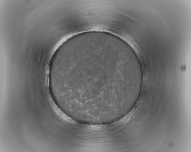 X0000093581126200710291056