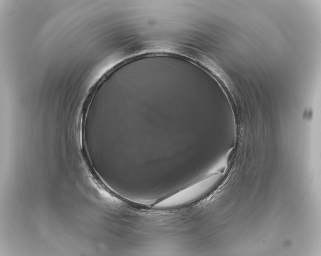 X0000093581127200710291056