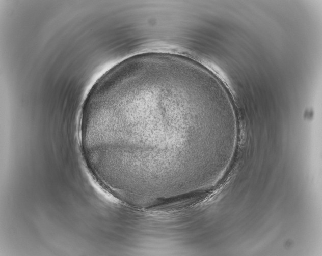 X0000093581128200710291056