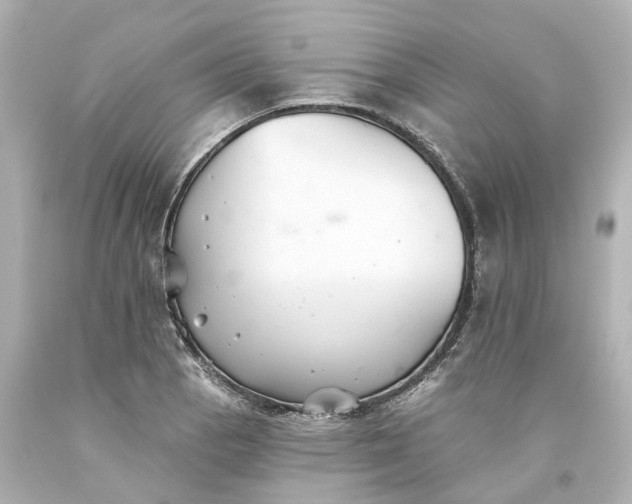 X0000093581129200710291056