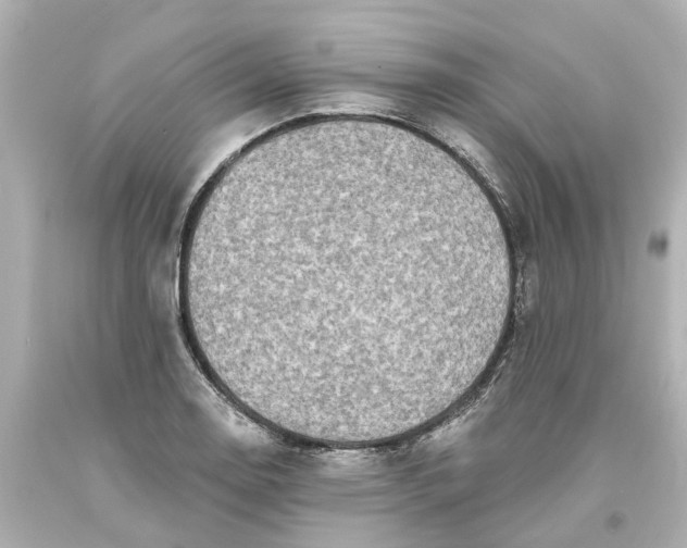 X0000093581130200710291056