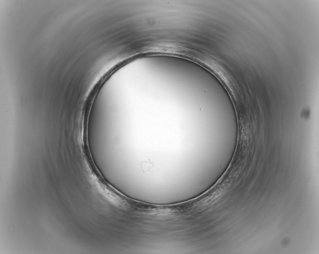 X0000093581131200710291056