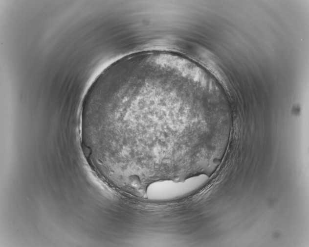 X0000093581132200710291056