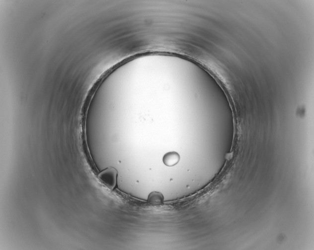 X0000093581133200710291056