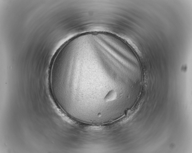 X0000093581134200710291056