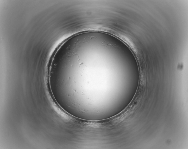 X0000093581136200710291056