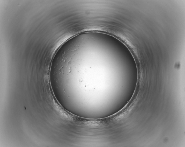 X0000093581137200710291056