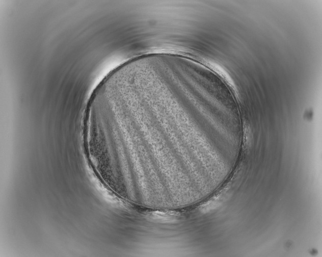 X0000093581138200710291056