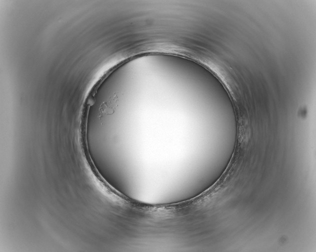 X0000093581139200710291056