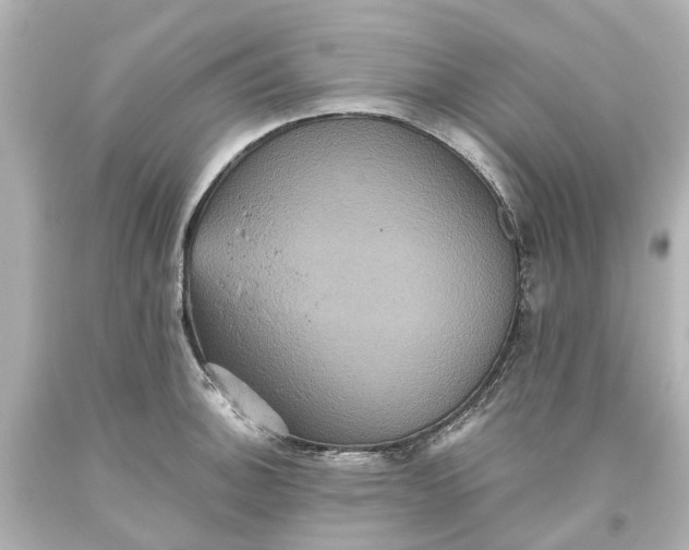 X0000093581140200710291056