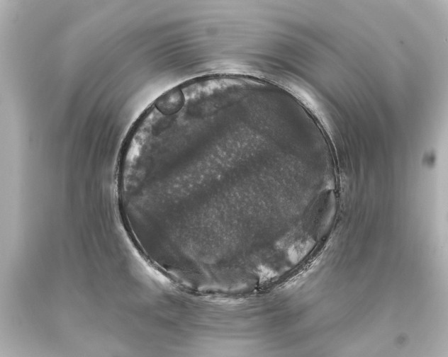 X0000093581141200710291056