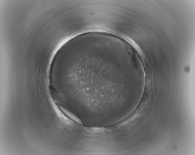 X0000093581144200710291056