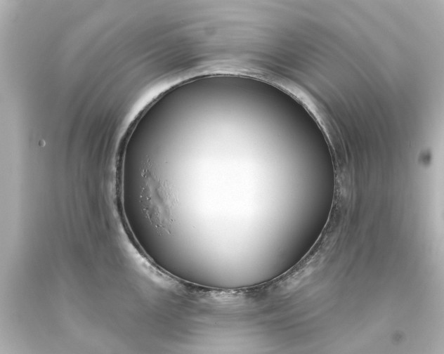 X0000093581147200710291056