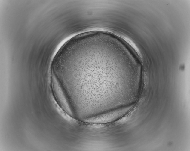 X0000093581148200710291056