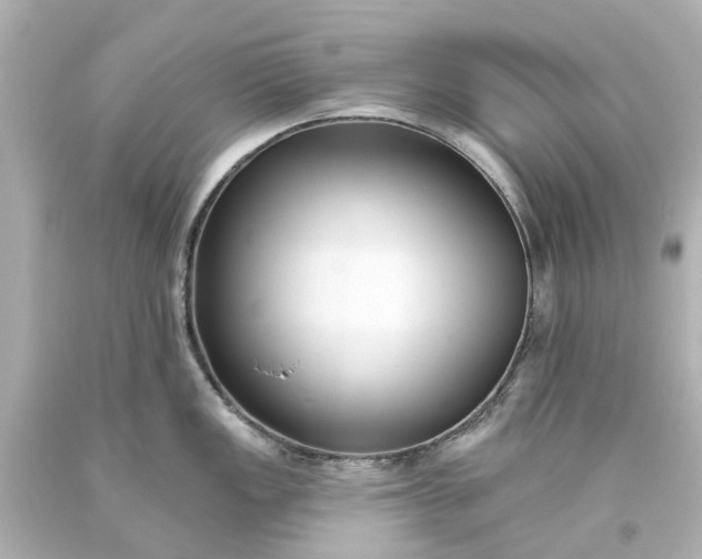 X0000093581149200710291056