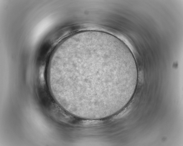 X0000093581150200710291056