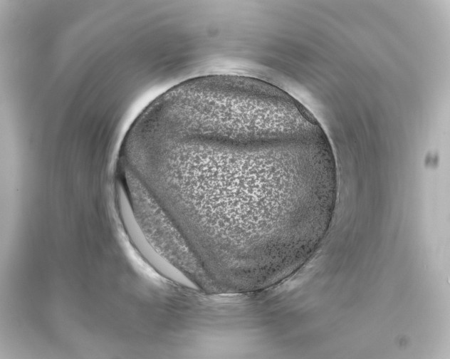 X0000093581152200710291056