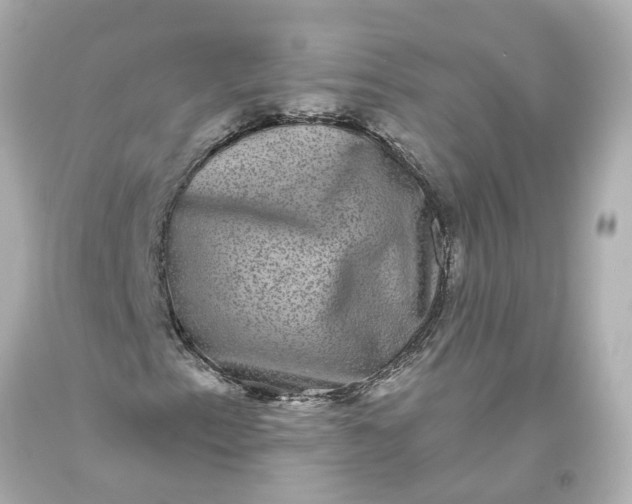 X0000093581153200710291055