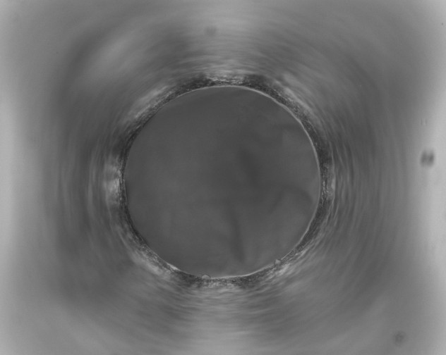 X0000093581154200710291055