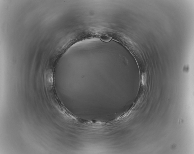 X0000093581155200710291055