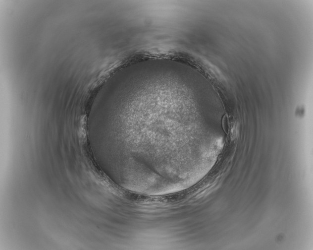 X0000093581156200710291055