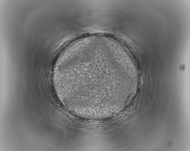 X0000093581157200710291055