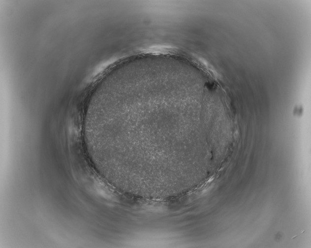 X0000093581158200710291055