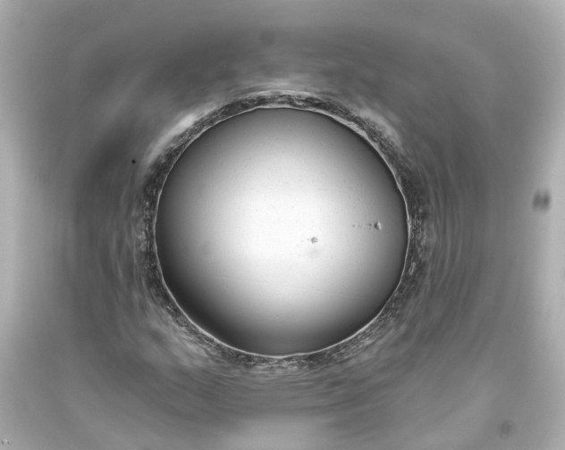 X0000093581159200710291055