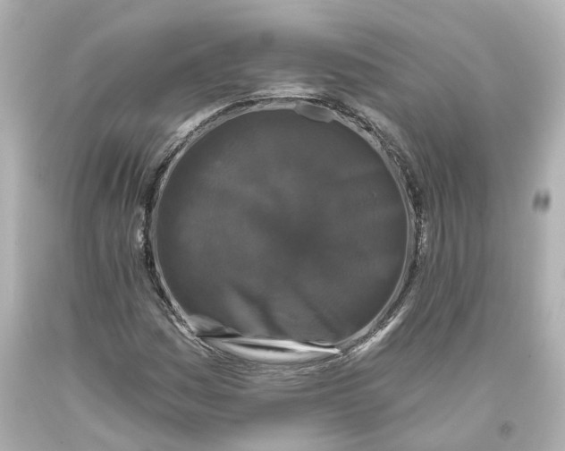 X0000093581161200710291055