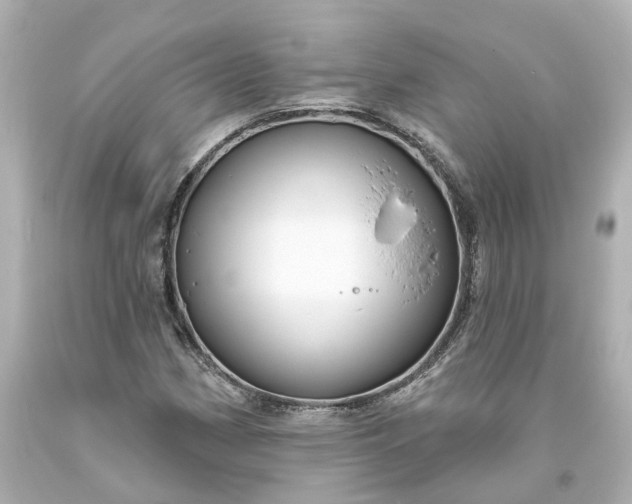 X0000093581162200710291055