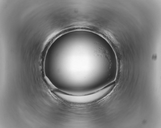 X0000093581164200710291055