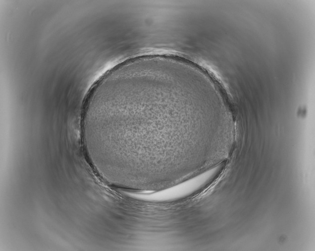 X0000093581165200710291055