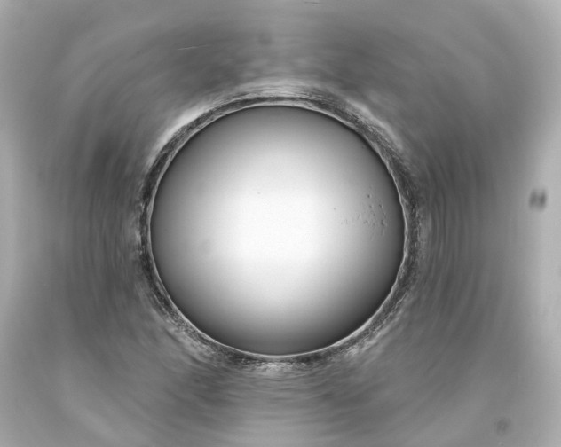 X0000093581166200710291055